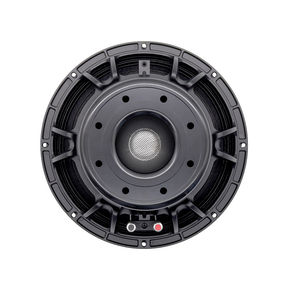 Equipo de Audio Profesional 12 - Speakers reseña y precio